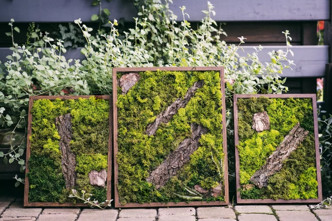 Warsztaty tworzenia obrazów z mchu - botanicznehistorie.pl