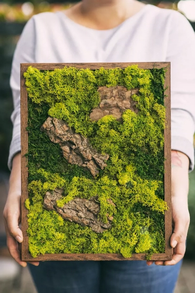 Najlepsze warsztaty obrazów z mchu - botanicznehistorie.pl