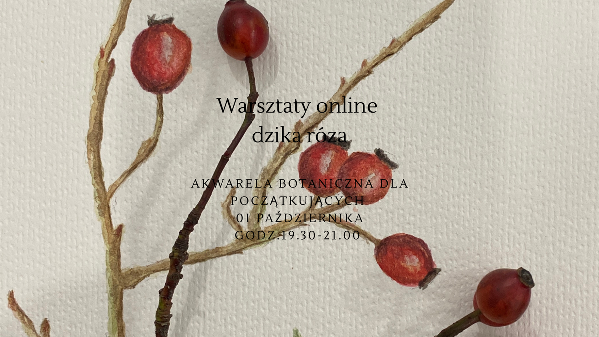 Warsztaty online dzika róża