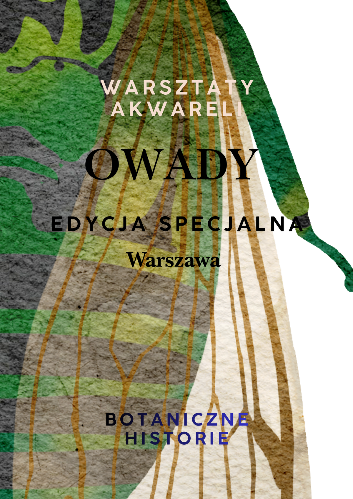 Warsztaty akwareli / Owady
