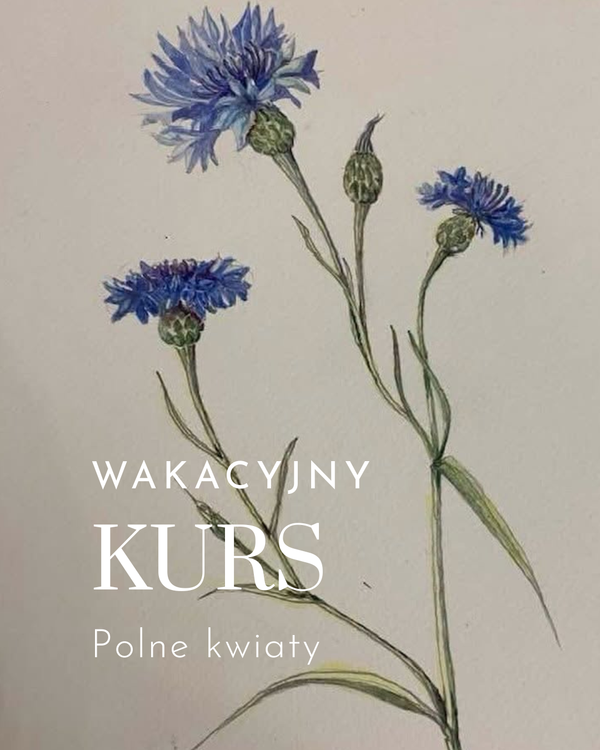 Wakacyjny kurs malowania polnych kwiatów