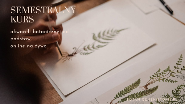 Semestralny kurs akwareli botanicznej od podstaw