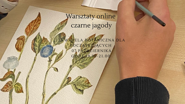 Warsztaty online czarne jagody