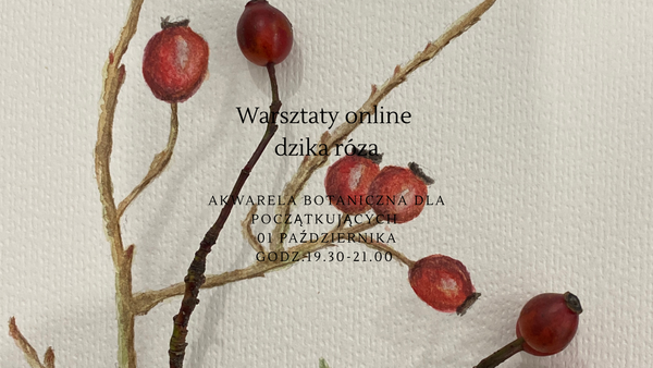 Warsztaty online dzika róża
