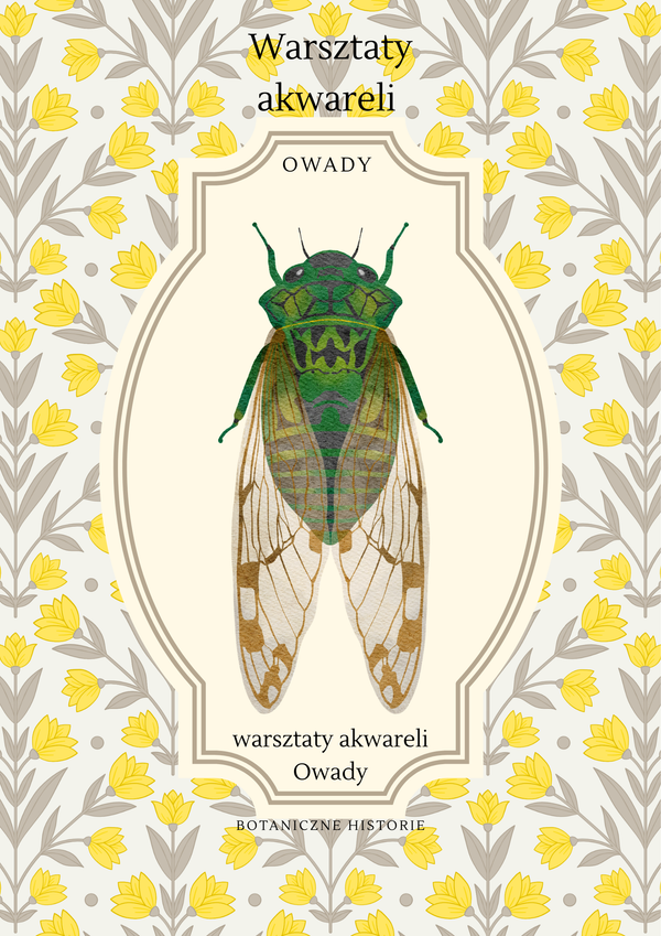 Warsztaty akwareli/ Owady