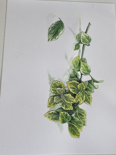 Botaniczne Historie Kraków warsztaty akwarelii botanicznej dla początkujących.