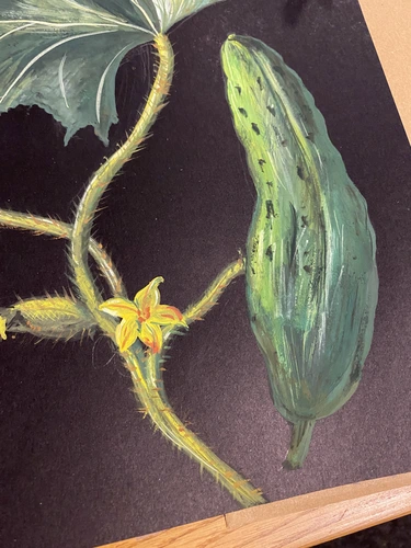 Botaniczne Historie Kraków warsztaty akwareli roślinnej dla początkujących.