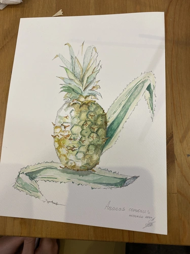 Botaniczne Historie warsztaty malowania roślin dla początkujących.