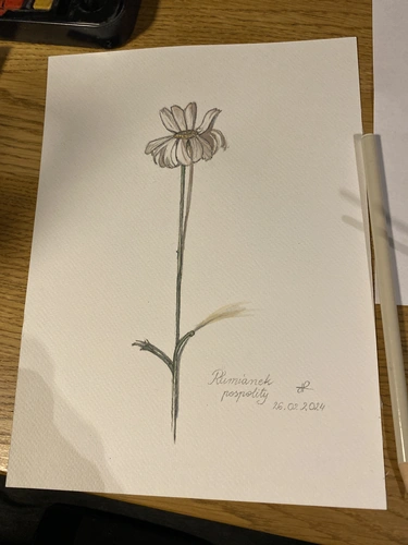 Warsztaty rysunku botanicznego dla początkujących w Katowicach.