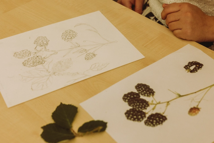 Eventy firmowe z malowania roślin warsztaty Botaniczne Historie w Warszawie.